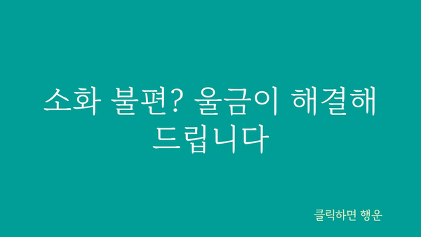 울금의 놀라운 효능 7가지 | 건강, 항염증, 소화, 면역, 울금 효능, 울금 먹는법, 울금 부작용