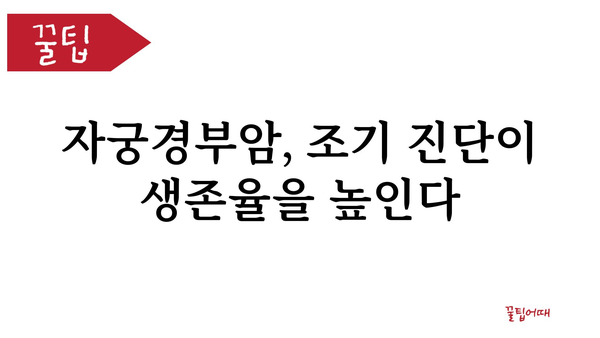 자궁경부암 초기 증상| 놓치지 말아야 할 7가지 신호 | 자궁경부암, 조기 진단, 예방, 건강 정보