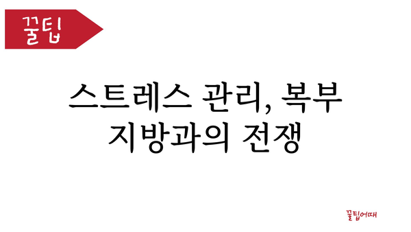 복부 지방, 효과적으로 줄이는 5가지 방법 | 다이어트, 운동, 식단, 건강