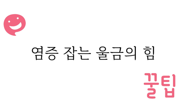 울금의 놀라운 효능 7가지 | 건강, 항염증, 소화, 면역, 울금 효능, 울금 먹는법, 울금 부작용