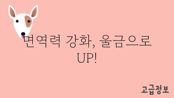 울금의 놀라운 효능 7가지 | 건강, 항염증, 소화, 면역, 울금 효능, 울금 먹는법, 울금 부작용