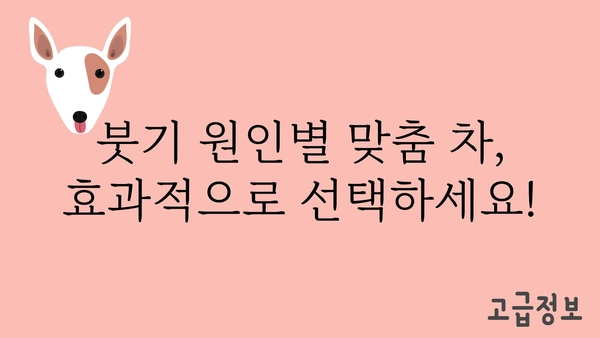 붓기 빼는 차 종류별 효능 비교 & 추천 | 부종, 다이어트, 건강, 붓기 제거, 붓기 해소