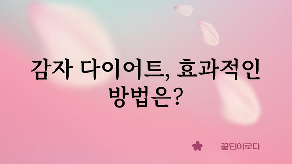 감자의 놀라운 효능| 건강, 미용, 다이어트까지! | 감자 효능, 감자 영양, 감자 레시피