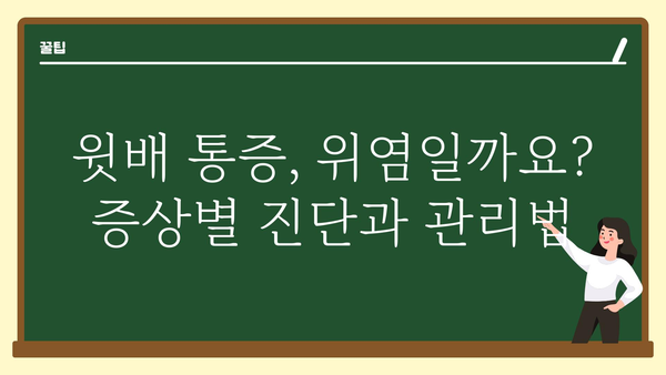 윗배 통증 원인과 해결책| 증상별 진단 및 관리 가이드 | 복통, 소화불량, 위염, 급성 복통, 만성 복통