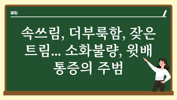 윗배 통증 원인과 해결책| 증상별 진단 및 관리 가이드 | 복통, 소화불량, 위염, 급성 복통, 만성 복통