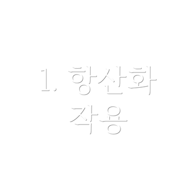 1. 항산화 작용