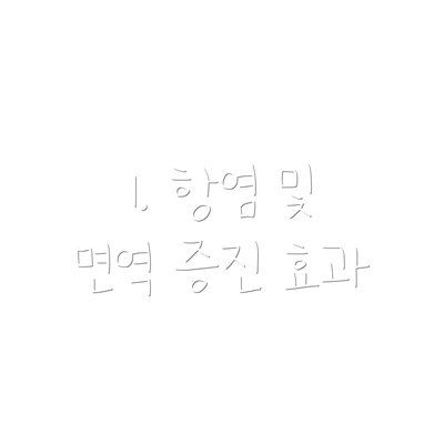 1. 항염 및 면역 증진 효과