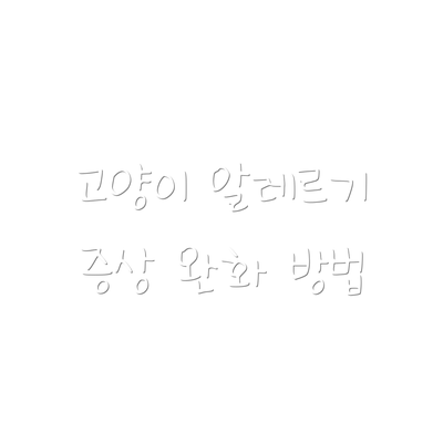 고양이 알레르기 증상 완화 방법