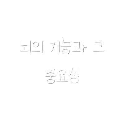 뇌의 기능과 그 중요성