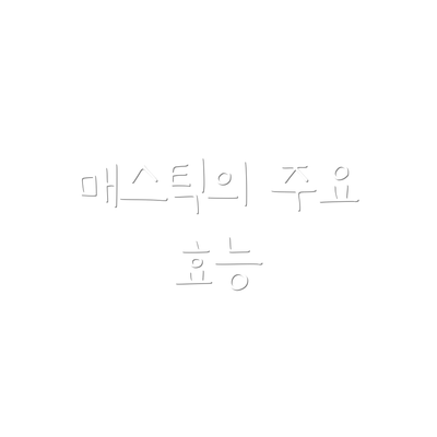 매스틱의 주요 효능