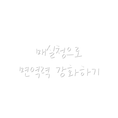 매실청으로 면역력 강화하기