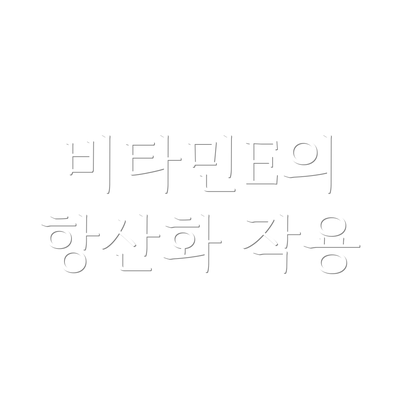 비타민E의 항산화 작용