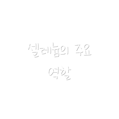 셀레늄의 주요 역할