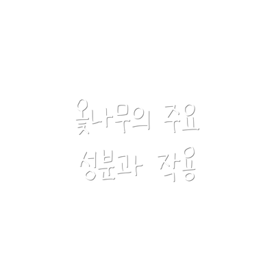 옻나무의 주요 성분과 작용