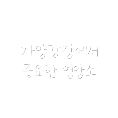 자양강장에서 중요한 영양소