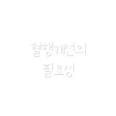 혈행개선의 필요성