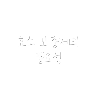 효소 보충제의 필요성